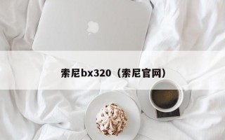 索尼bx320（索尼官网）